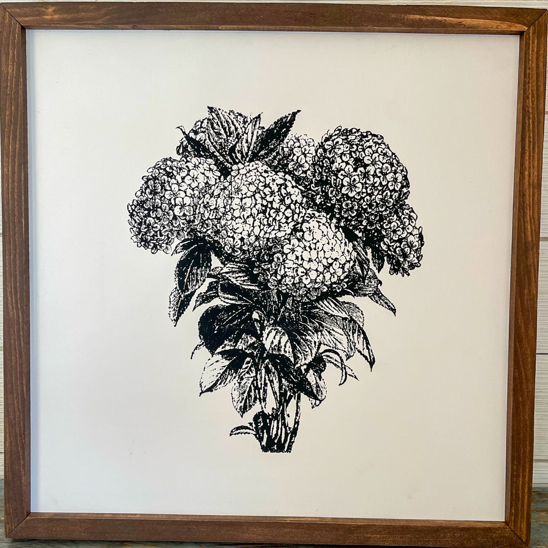 hydrangeas | black and white