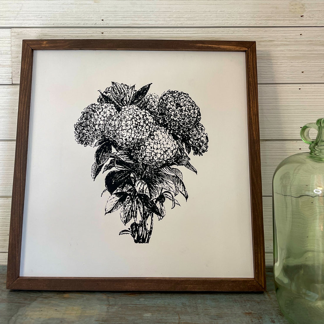 hydrangeas | black and white