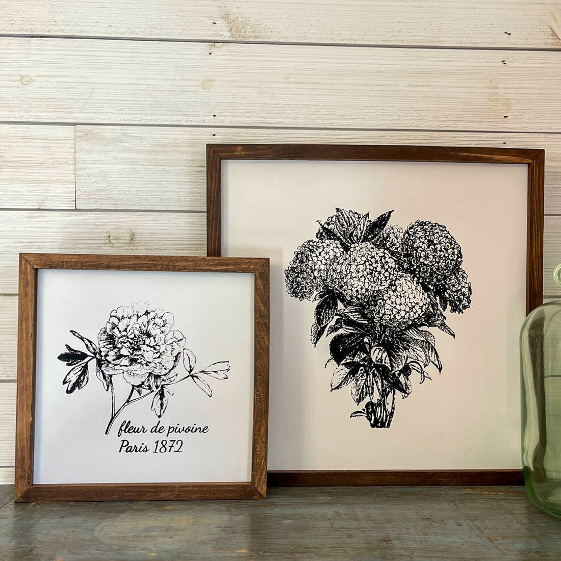 hydrangeas | black and white