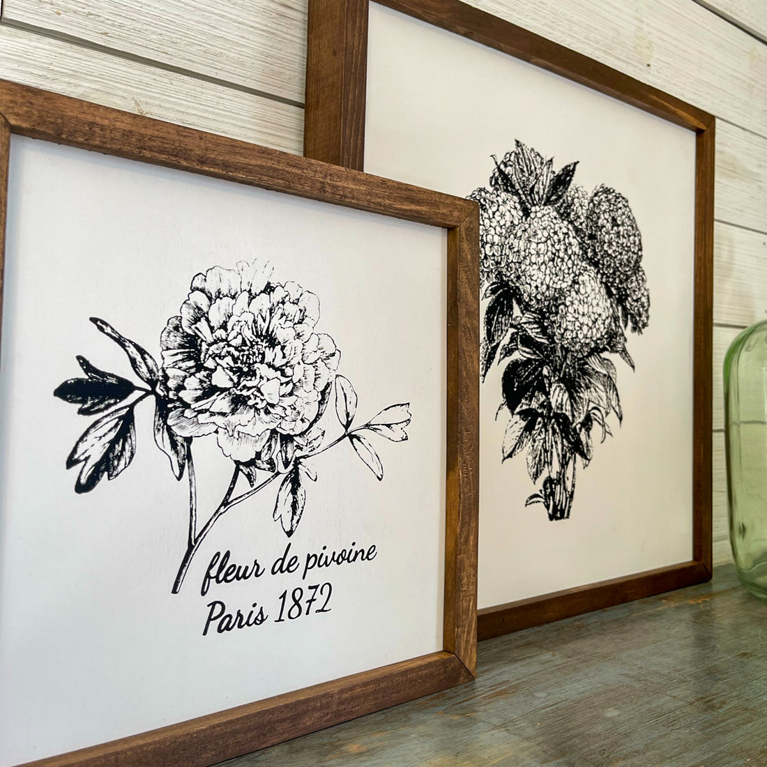 hydrangeas | black and white