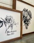 hydrangeas | black and white