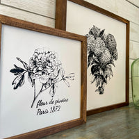 peony flower