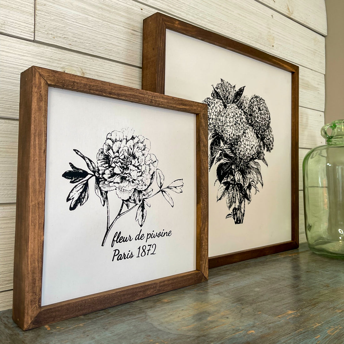 hydrangeas | black and white