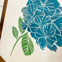 hydrangea