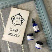 cheeky monkey