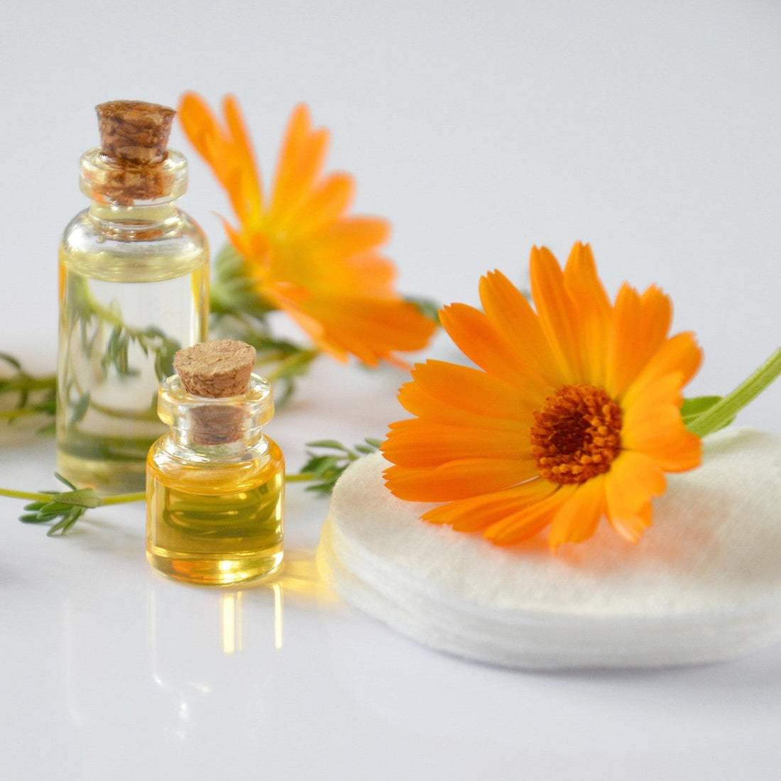 body bar | orange vanilla popsicle