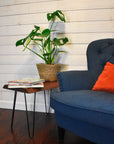 maple live edge bench / side table with black steel hairpin legs