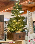 rustic brick-mold inspired wood box with christmas tree | wood-burned