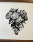 hydrangeas | black and white