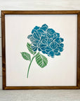 hydrangea