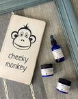 cheeky monkey
