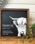 highland cow | [heilan' coo] shaggy haired and long-horned Scottish rustic cow